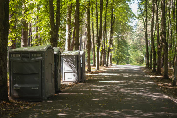 Portable Toilet Options We Offer in La Vale, MD